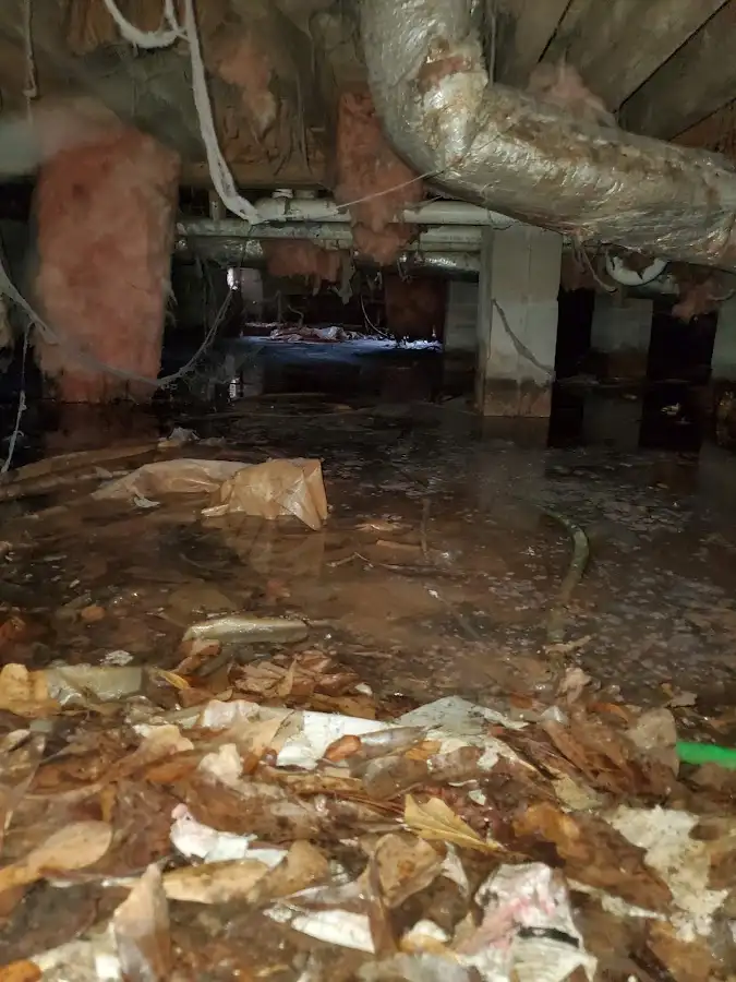 Crawl space flood assessment for Leak Detection & Repair in Halfmoon